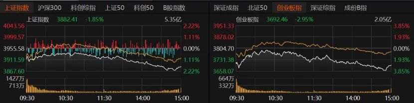 科技股还在跌!科创50重挫逾4%,原因找到了